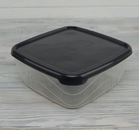 Пластиковый контейнер для пищевых продуктов с крышкой АК-665 Судок пищевой 2 л. 20*20*8 cm 20396 фото