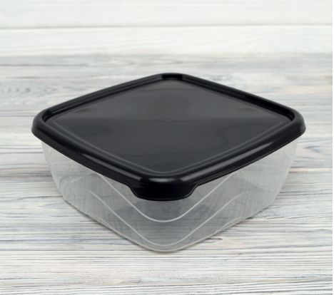 Пластиковый контейнер для пищевых продуктов с крышкой АК-664 Судок пищевой 1,5 л 17*17*7 cm 20395 фото